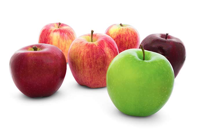 apples-in-season